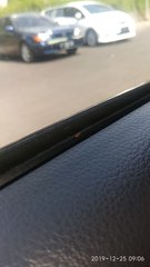 Diptera