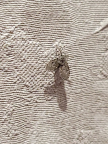Unknown species found near New Jersey, US