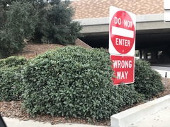 Psaltriparus minimus