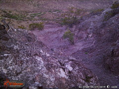 Ammospermophilus interpres