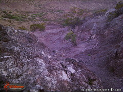 Ammospermophilus interpres