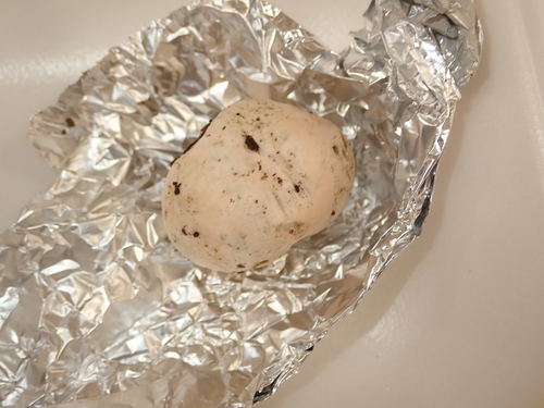 Turmalinea persicina