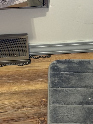 Western Ratsnake