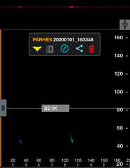 Parastrellus hesperus