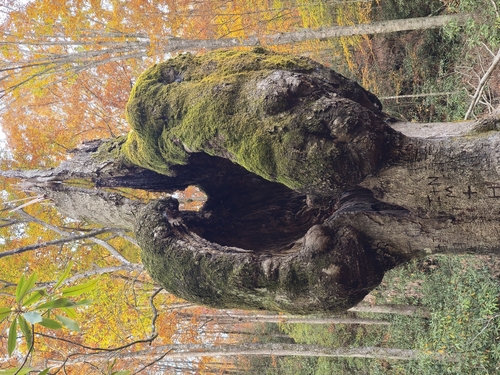 Rim of the Gap Trail