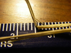 Muhlenbergia cuspidata