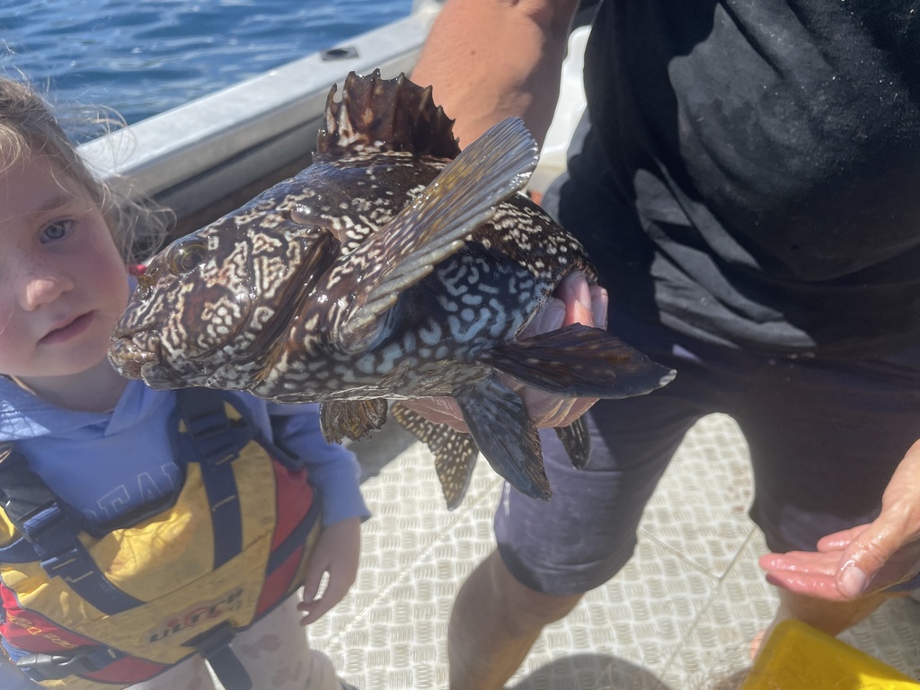 Kelpies