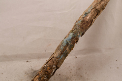 Byssocorticium atrovirens