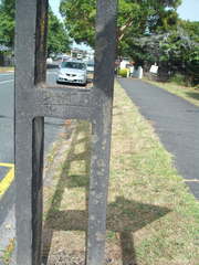 Protoblastenia rupestris