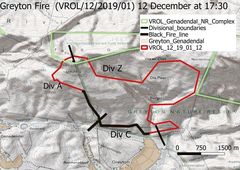 Cyrtanthus ventricosus