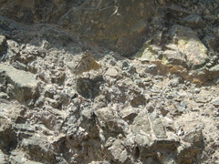 Chirgus bocchoris trisignatus