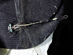 Phyllogomphoides pacificus