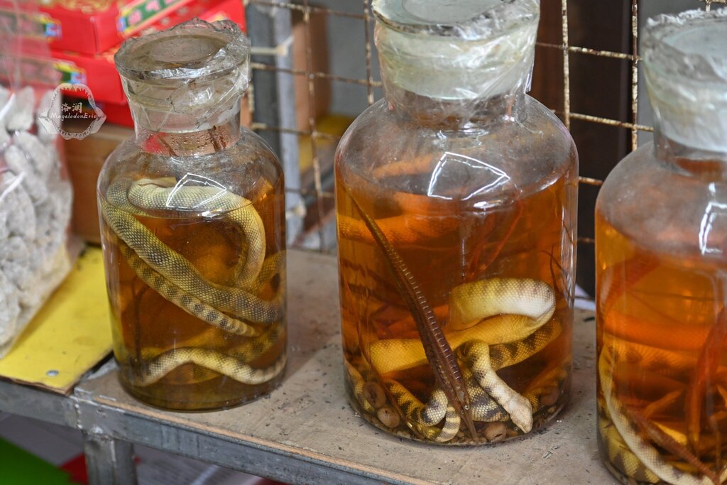 Photo of Annulated sea snake (Hydrophis cyanocinctus)