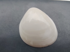 Laevicardium serratum