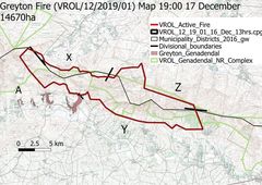 Cyrtanthus ventricosus