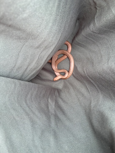 Eastern Brown Snake sighting