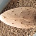 Scythropiodes approximans - Photo (c) onidiras-iNaturalist, some rights reserved (CC BY-NC), uploaded by onidiras-iNaturalist