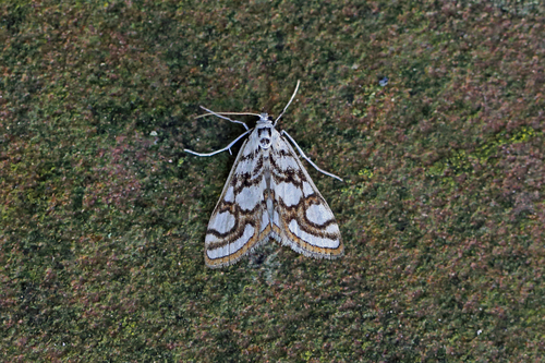 Beautiful China-mark