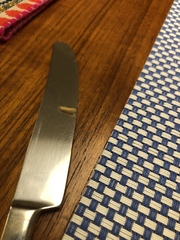 Plodia interpunctella