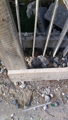 Leiocephalus personatus