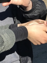 Hypsiglena ochrorhynchus klauberi