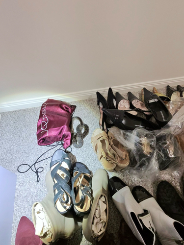 Spotted Python sighting