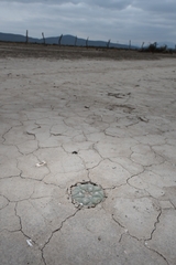 © Joey Santore, some rights reserved (CC-BY-NC)