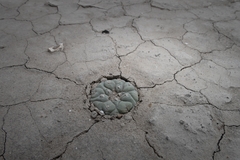 © Joey Santore, some rights reserved (CC-BY-NC)