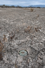 © Joey Santore, some rights reserved (CC-BY-NC)