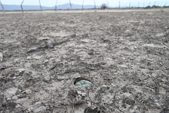 © Joey Santore, some rights reserved (CC-BY-NC)