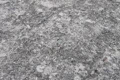 © Joey Santore, some rights reserved (CC-BY-NC)