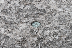 © Joey Santore, some rights reserved (CC-BY-NC)