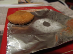 Cystoderma amianthinum rugosoreticulatum