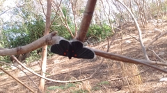 Melanis acroleuca acroleuca