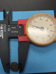 Polygyra septemvolva