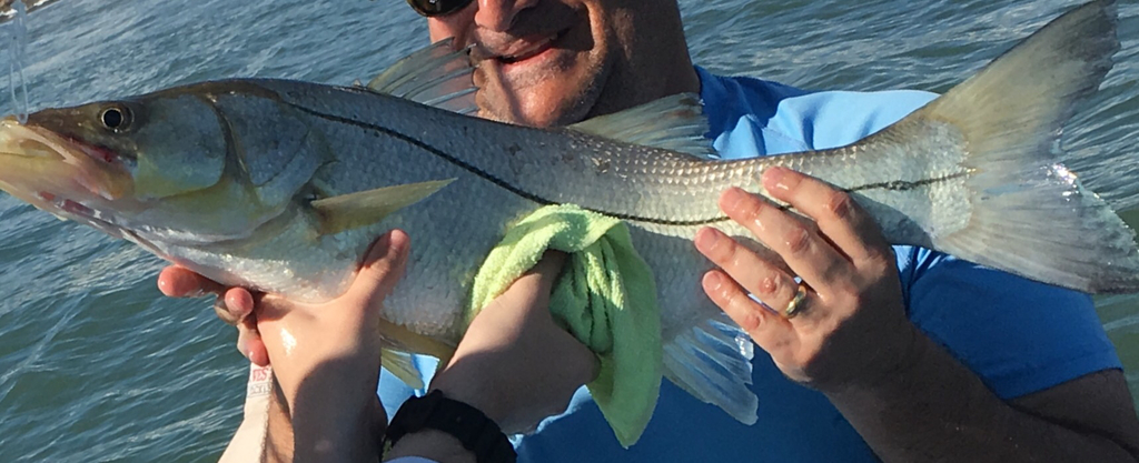 White Snook