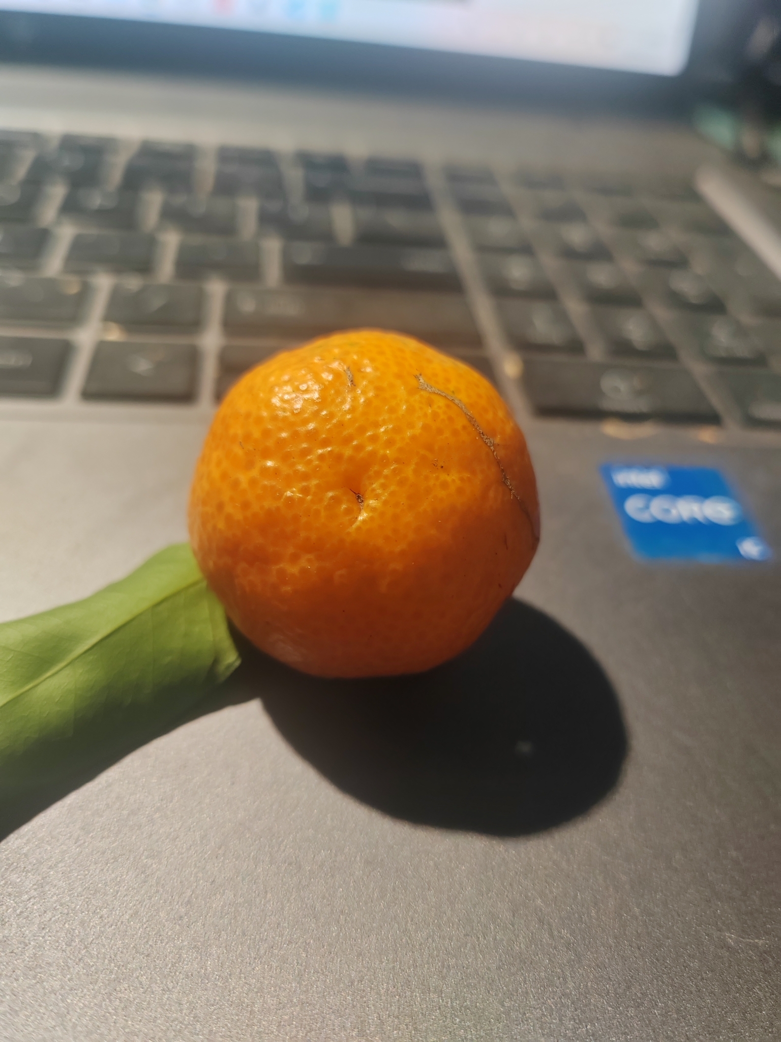 Imagem de Tangerina