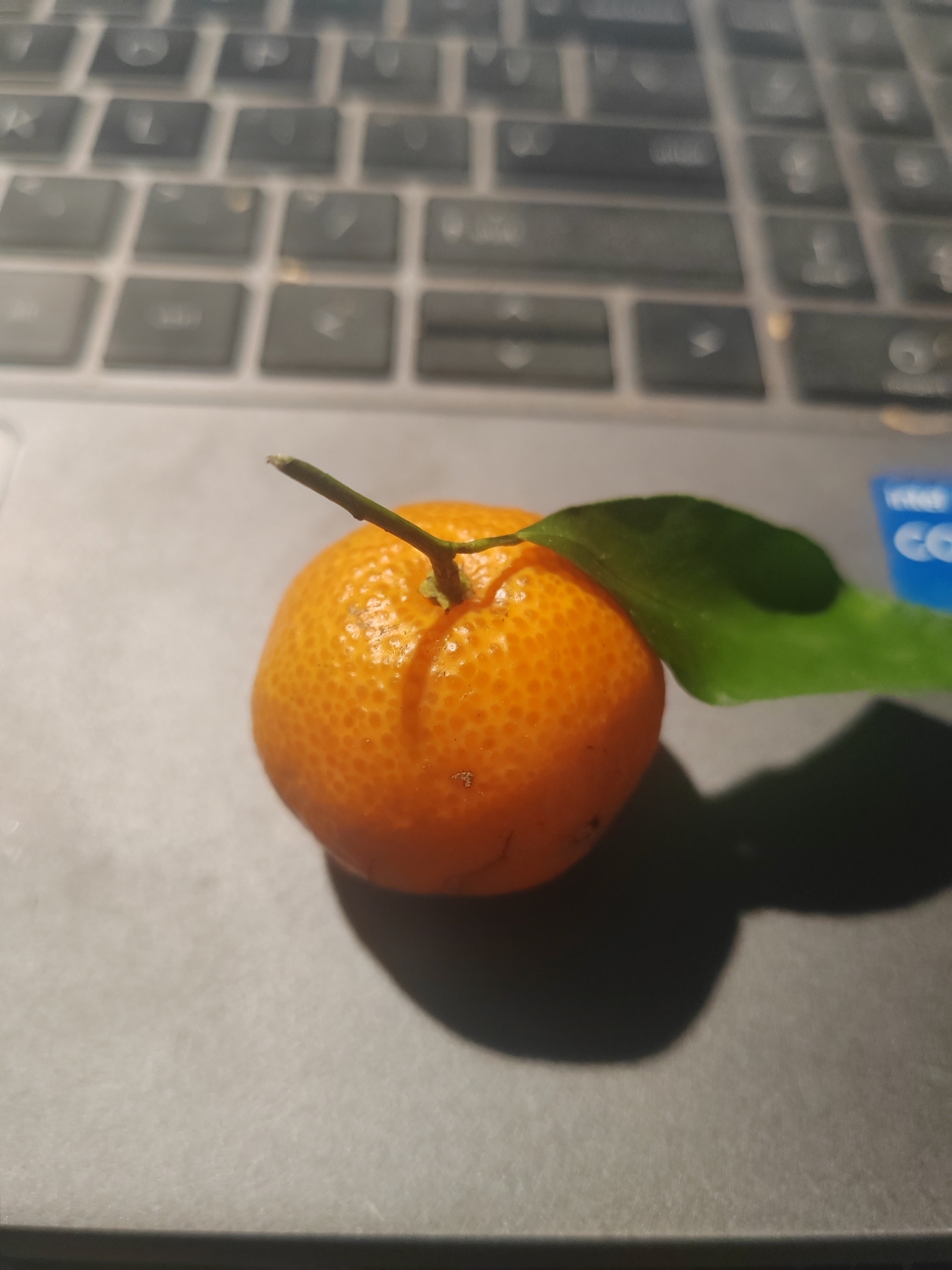 Imagem de Tangerina