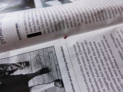 Cryptamorpha desjardinsi