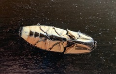 Chalcolepidius erythroloma