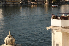 Semnopithecus entellus