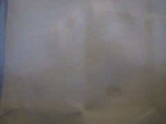 Lentinus squarrosulus