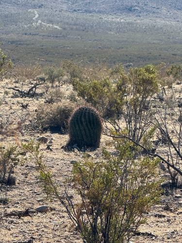 San Pedro Trail