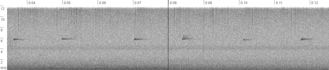 Pale-legged Leaf Warbler