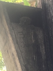 Lepilemur tymerlachsoni