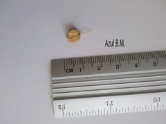 Wimmeria microphylla