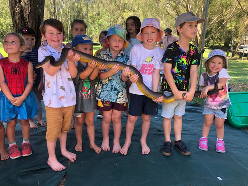 Water Python sighting