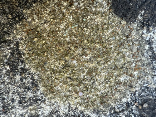 Felsen-Kalksteinkruste