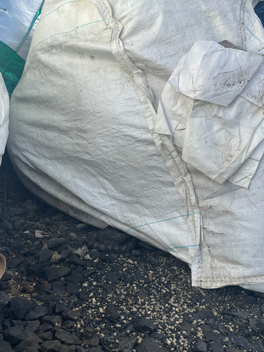 Australian Scrub Python sighting