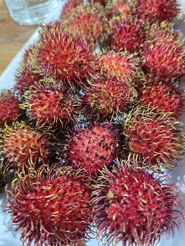 Nephelium lappaceum